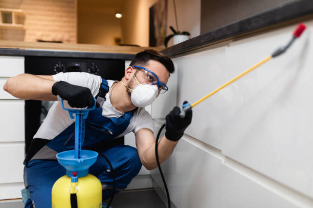 Best Pest Removal Services  in Augusta, ME