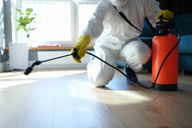 Best Flea Control Services  in Augusta, ME