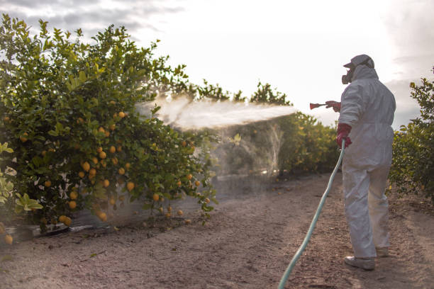 Best Commercial Pest Control Services  in Augusta, ME
