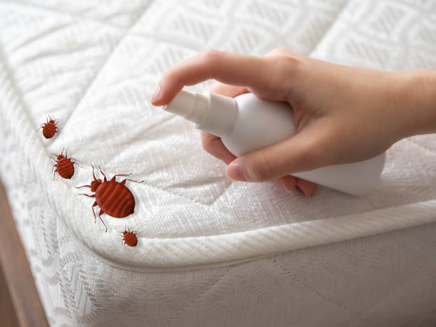 Best Insect Control  in Augusta, ME